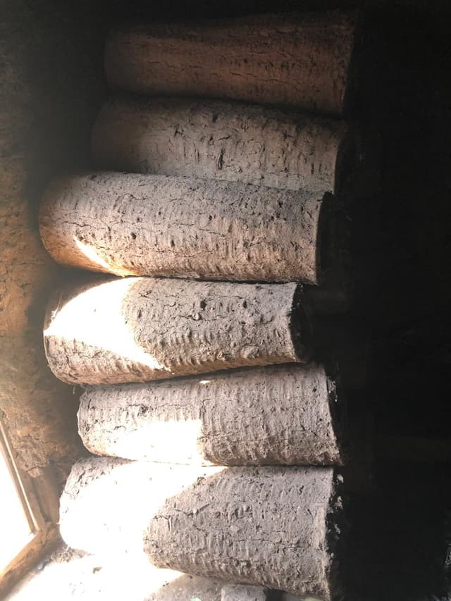 A morden bee hive hanging on a tree