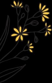 A plant