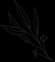A plant