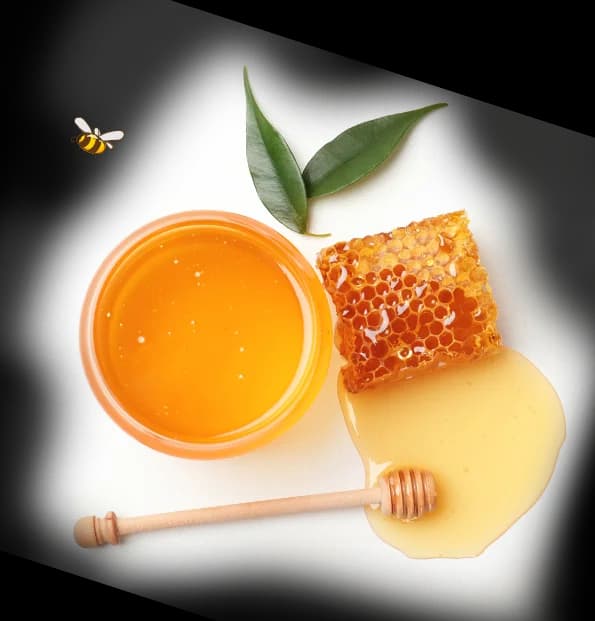Honey in a jar,  honey powered on the honey-comb & green leaves on the side.